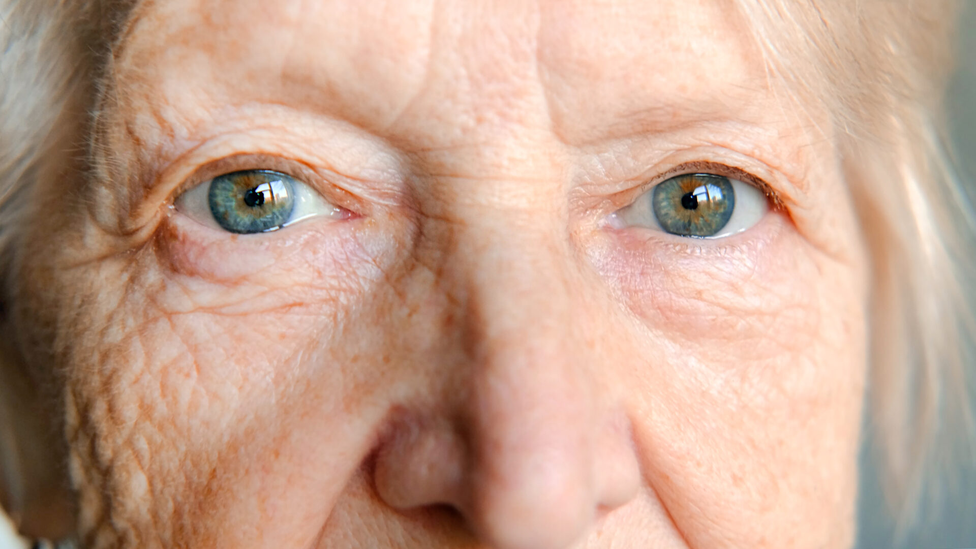 Blue gray eyes of an elderly woman looking at camera
